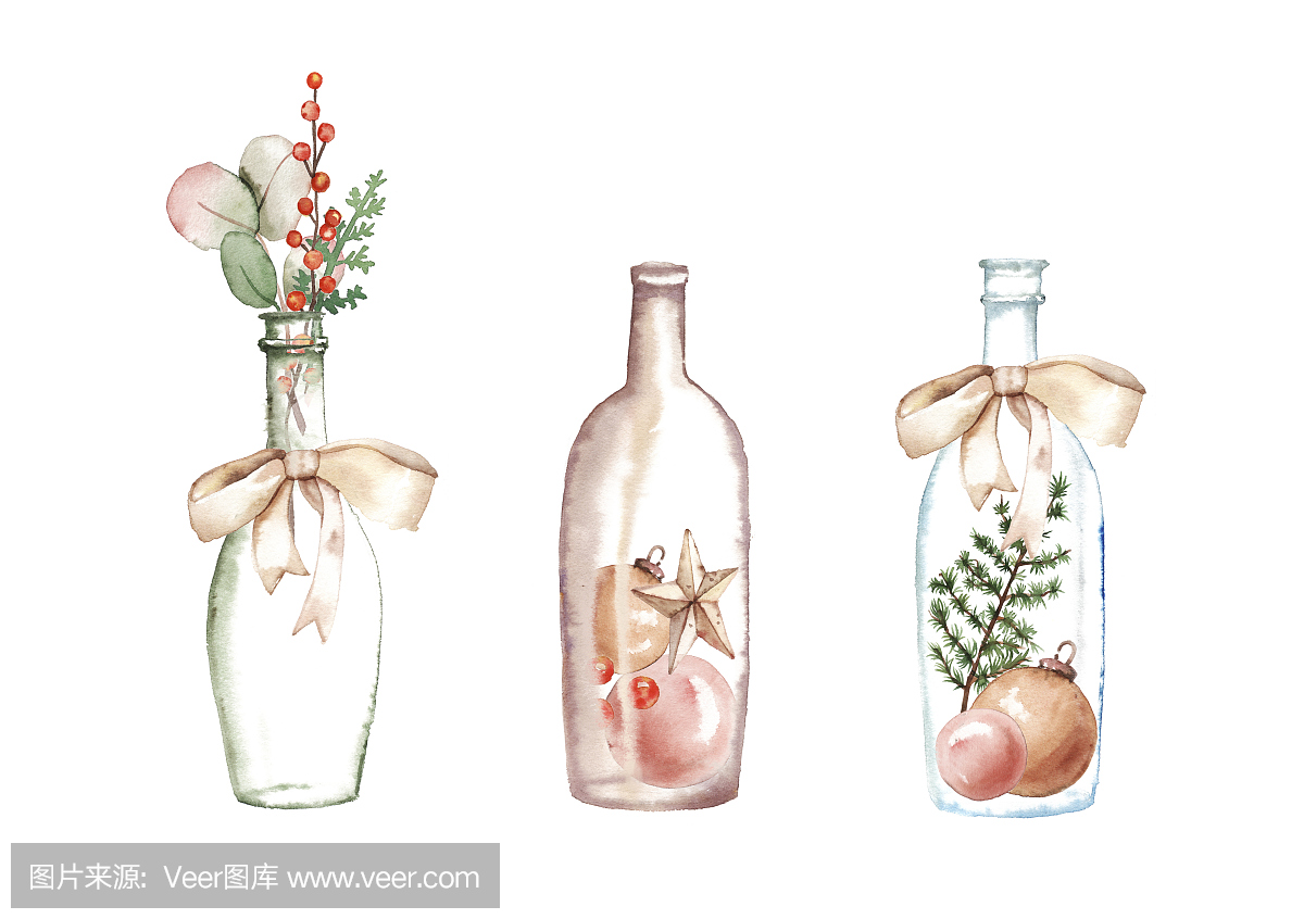 水彩手绘圣诞花卉装饰插图